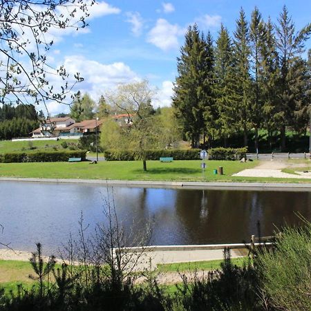 Gite Avec Cheminee, Terrasse Et Wifi - Animaux Acceptes - Fr-1-496-163 Usson-en-Forez Екстер'єр фото